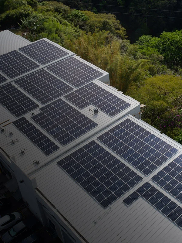 Energías limpias para el sector cafetero