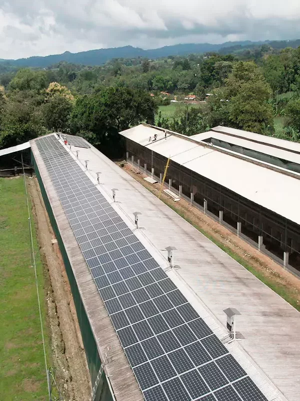 Sistemas fotovoltaicos para el sector avícola