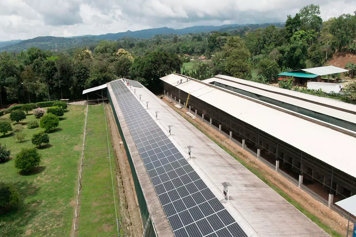 Sistemas fotovoltaicos para el sector avícola