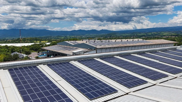 Tical fortalece la continuidad de su operación con almacenamiento energético industrial y generación solar